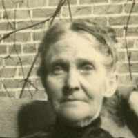 Amy Day Hemenway (1842 - 1917) Profile